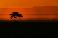 Eveniment: Expeditia Africa Roadmanians 2013