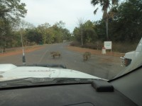 Eveniment: Budapest Bamako Africa 2013