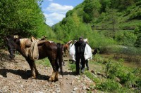 Eveniment: Actiune umanitara Club ORAR - Paste 2013