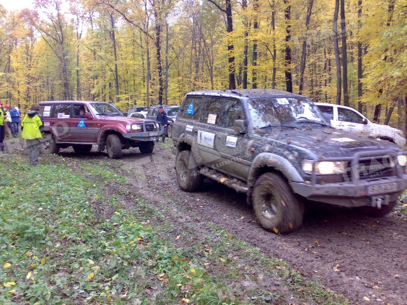 Toyota - Toyota Land Cruiser 80 @ TRACO - service auto 4x4, tuning maşini 4x4, accesorii offroad